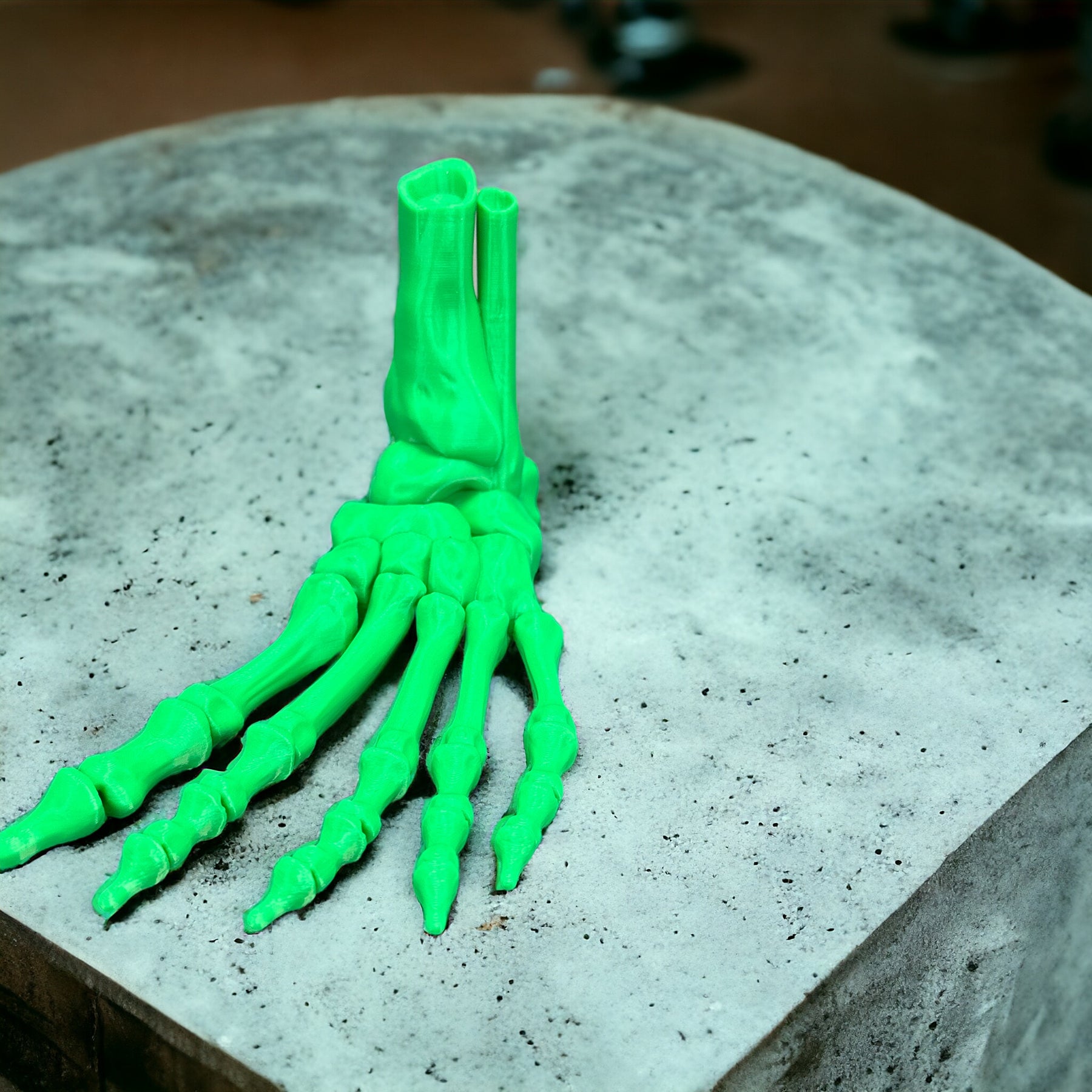 Flexibler Skelettfuß - Natürliches Spielzeug aus nachhaltigem 3D-Druck